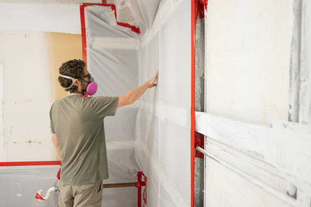 Oaklyn, NJ Mold Removal Company