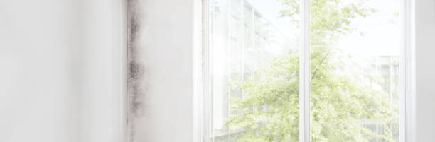 Best Indoor Air Quality Assessment  in Oaklyn, NJ