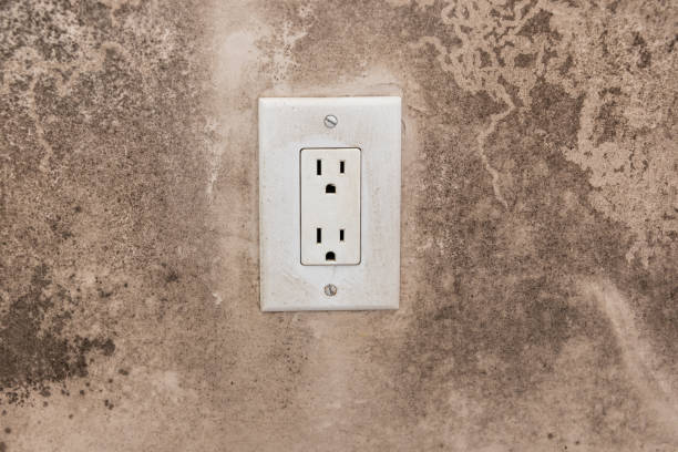 Best Mold Documentation for Insurance Claims  in Oaklyn, NJ